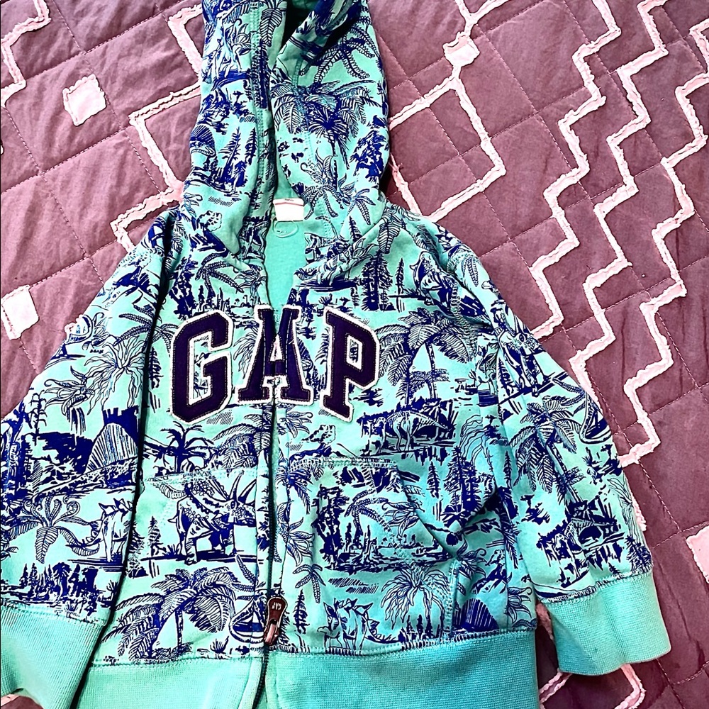 Gap hoodie toddler